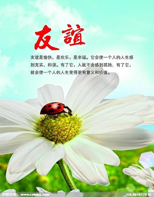 【军警】与王兄对饮篇（散文）