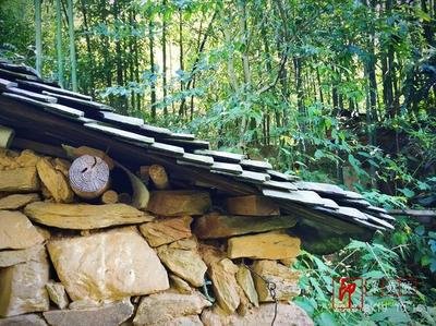 【宁静】青春的绝版（组诗）