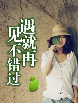 【柳岸】如果遇见，请不要错过（小说）