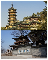老歪带着老伴游镇江