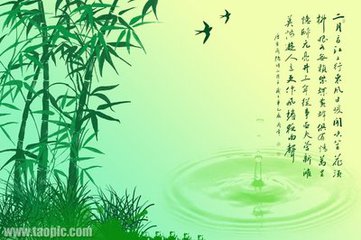 竹海葳蕤