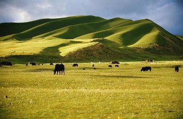 【星月流年】风景三则（散文）