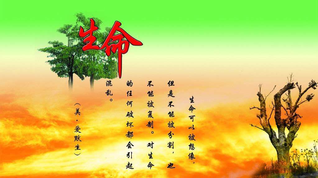 【荷塘】感悟生命（散文）