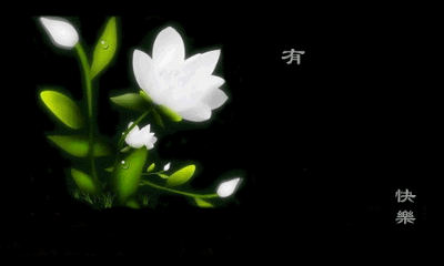 【江山宸光】你不是我的一辈子（大学组诗歌）