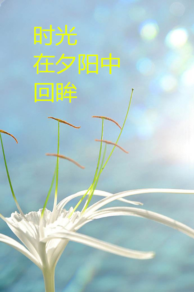 【八一】时光在夕阳中回眸（外一首·家园）