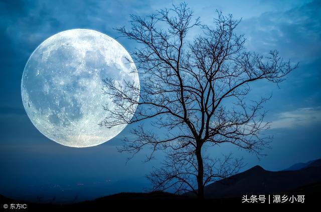 【丁香】月夜的农村老汉(小说)