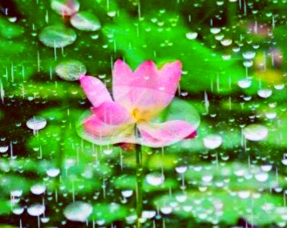 【天涯】夏日里的一场及时雨〔诗歌〕
