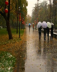 秋雨（散文）