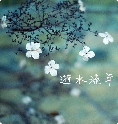 【流年】以文学的名义，祝福流年（七周年合辑）