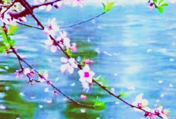 【天涯】春日两篇〔散文〕