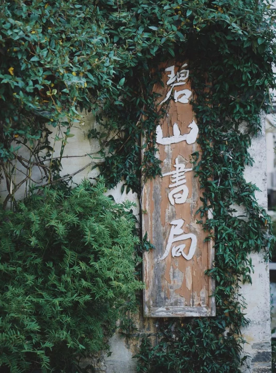 【流年·隐】无期独行：何意栖碧山（征文·散文）
