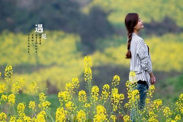 遇见你，我从此可以仰望星空微笑