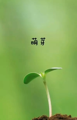 【江山·好声音】【流年】时光书：萌芽记（散文）