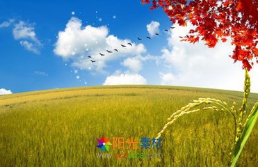 秋天（记叙文）