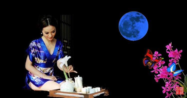 【星月】亲爱的花儿（散文）