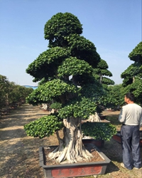 【短文】闲散的一天