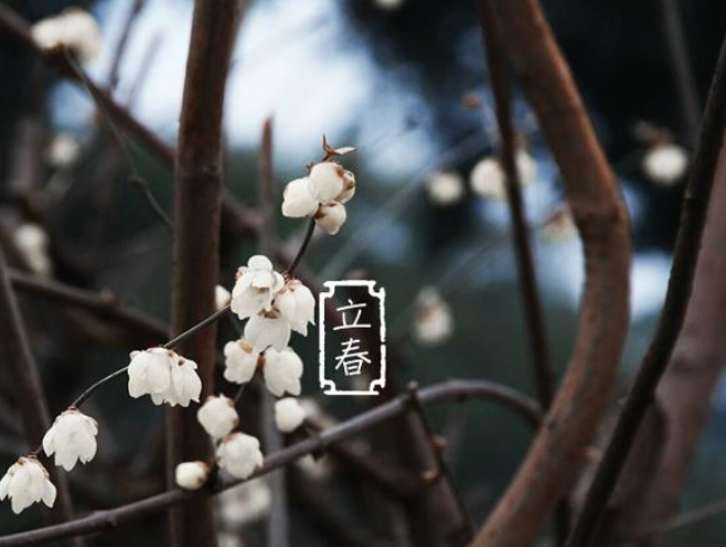 【八一】风入松·立春（古韵外三阕·家园）