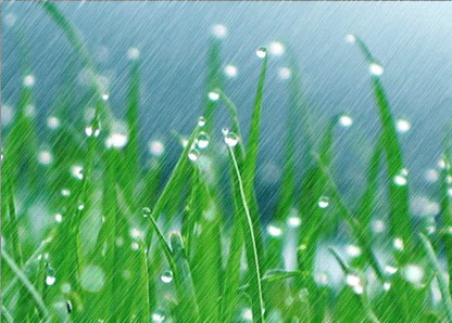 江南的雨（散文）