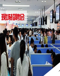 招聘会计