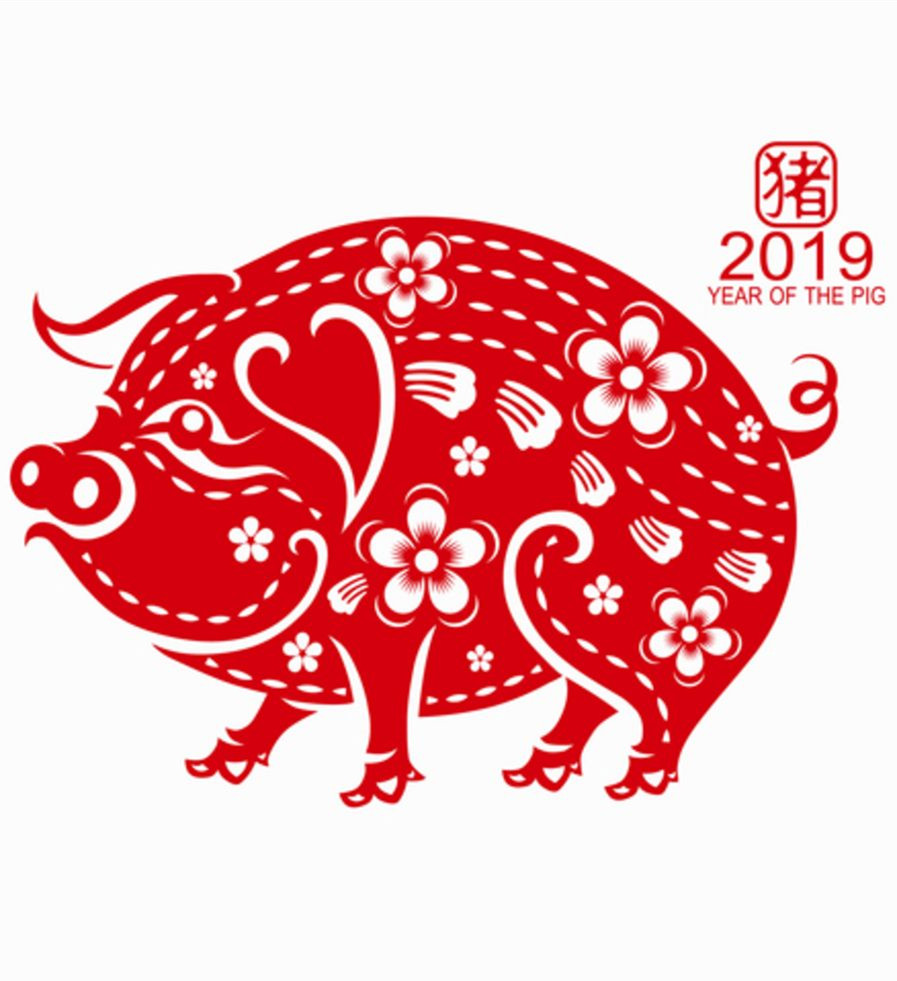 【八一】猪年说猪（随笔·家园）