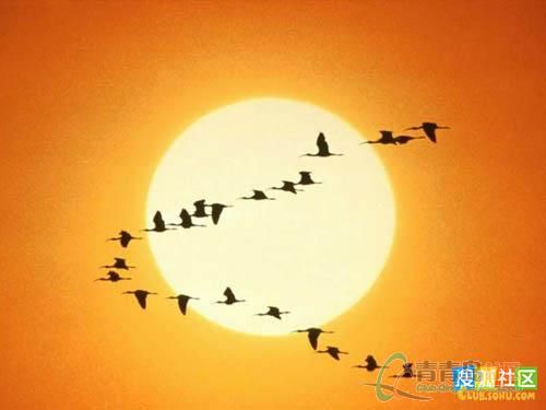 【丁香收获】山后的庄子（散文）