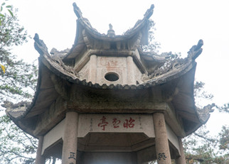 【东篱】这里的黎明静悄悄（散文）