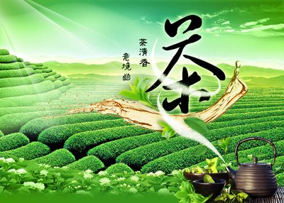 【丹枫】涌潮问茶（随笔）