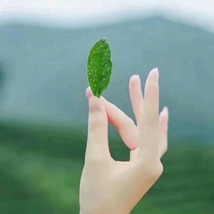 【如云】风过大地（组诗）