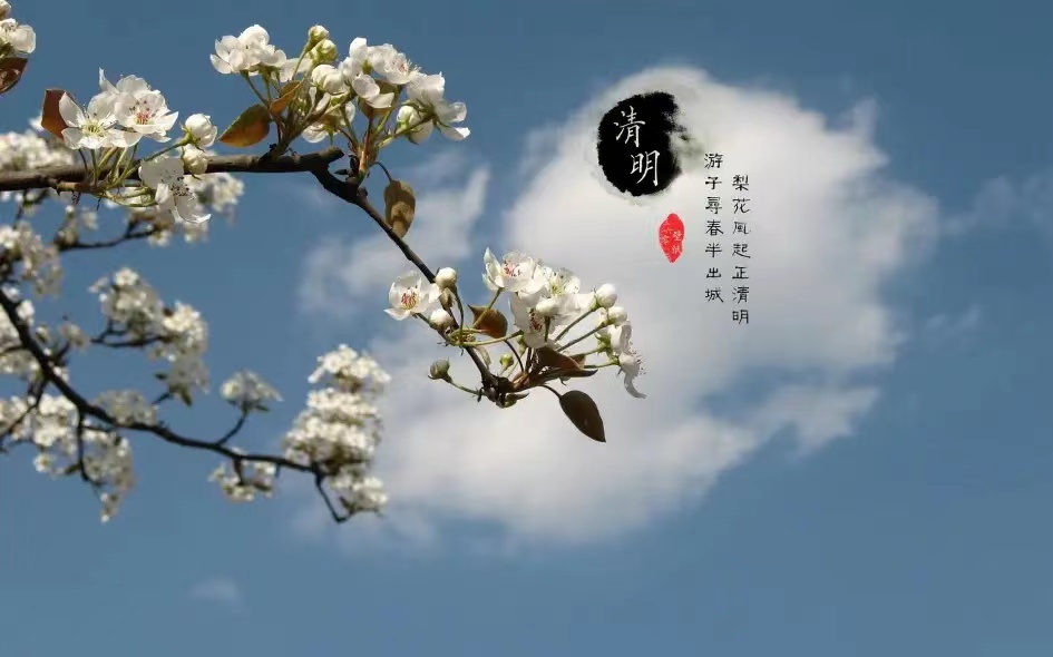 【宁静】清明，与父亲书（散文）