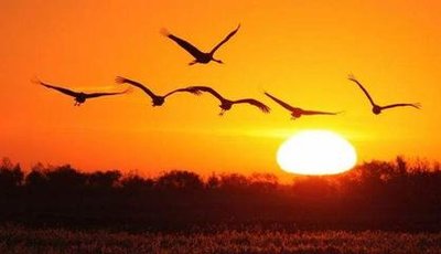【西风】夕阳（散文）