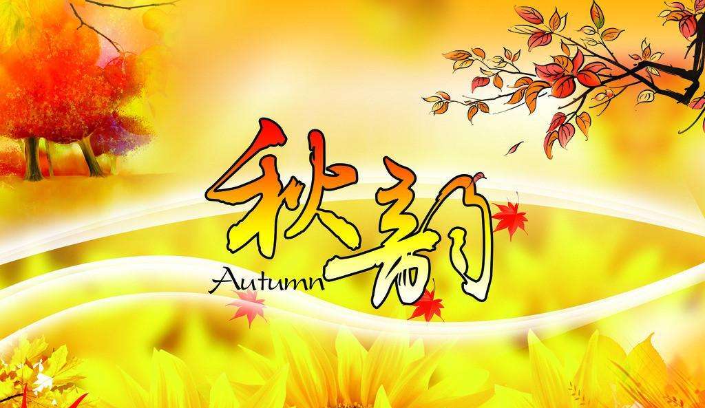 【荷塘“有奖金”征文】秋韵（散文）