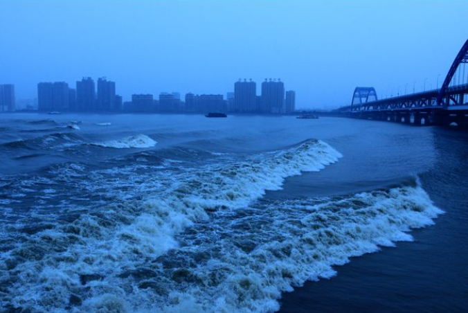 【八一】伞下钱江水（诗歌·家园）
