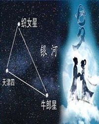 【看点】会掉眼泪的星星（散文）