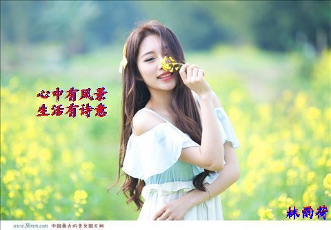 【军警】心中的雨荷---念！念！念！（诗歌）