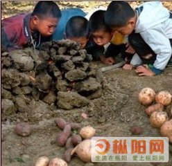 【萌芽春天】童年记忆（散文）