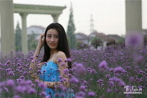 【歌词】心底里的花