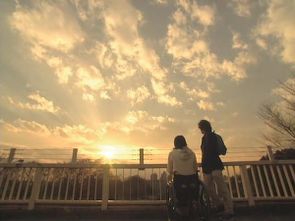 【八一】说好一起看夕阳（外一篇·家园）