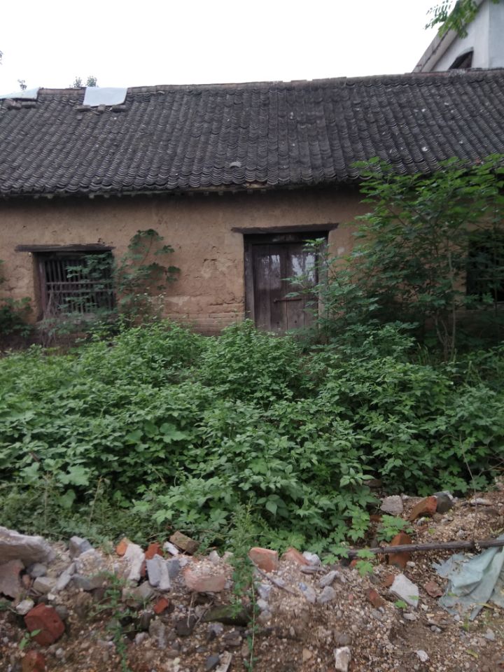 【八一】老东屋轶事（散文）