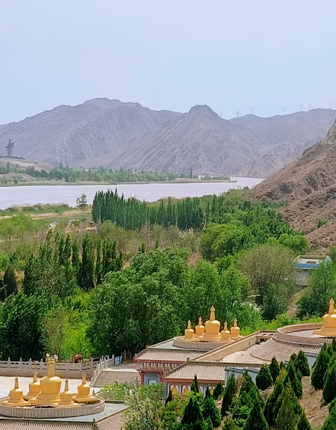 【江山·见证】【宁静】黄河岸，青铜峡（散文）
