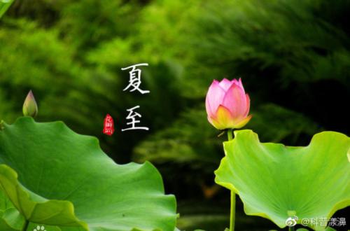 【丹枫】夏至图（散文）