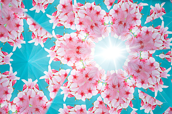 【流云】万花筒里看人生 (散文)