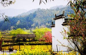 【八一】乡野（散文）