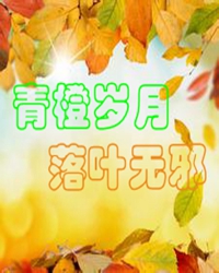 青橙岁月，落叶无邪