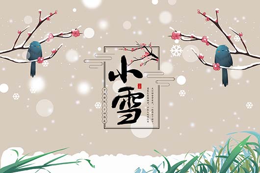 【菊韵】小雪，温酒以待（散文）