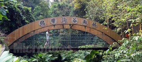 【荷塘“有奖金”征文】岁末版纳行（散文）
