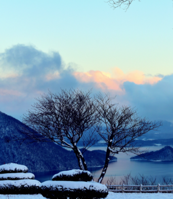 【流年·雪】每一片雪花的赞赏，来自落下的汗水（征文·散文）
