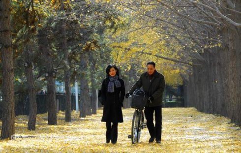 【丁香花语】人到中年（散文）