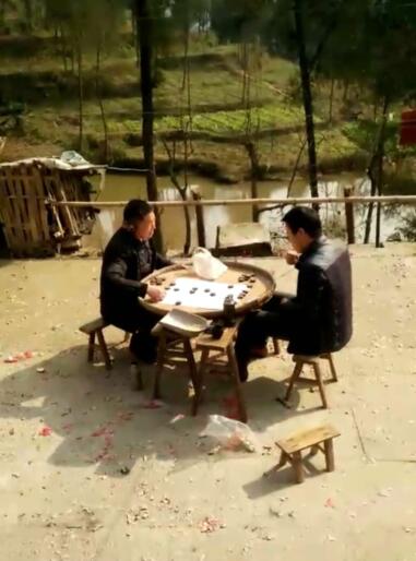 【看点】一盘和棋（散文）