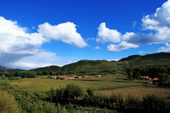 【丁香】中秋（组诗）