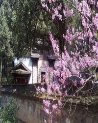 【看点·新生】在那桃花盛开的地方（小说）